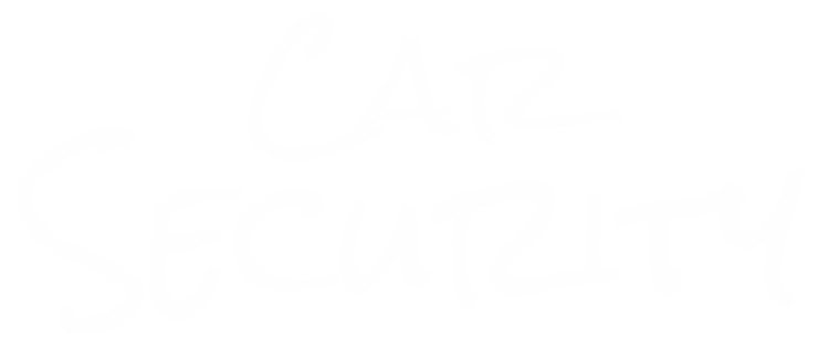 Car Security：BOX-STYLE