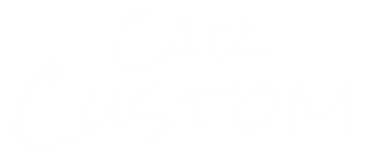 Car Custom:BOX-STYLE